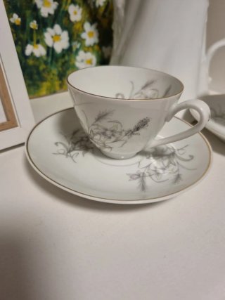 2 Tazas y platillos de Porcelana Bidasoa Colección