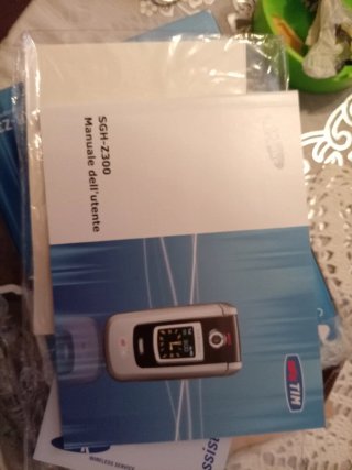 Manuale utente Samsung SGH-Z300