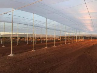 Construcción de Invernaderos en Zafarraya