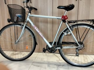 Bicicleta de Paseo Plateada