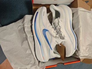 Zapatillas Nike Winflo 12