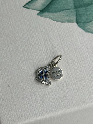 Charm Mariposa Azul y Plateado