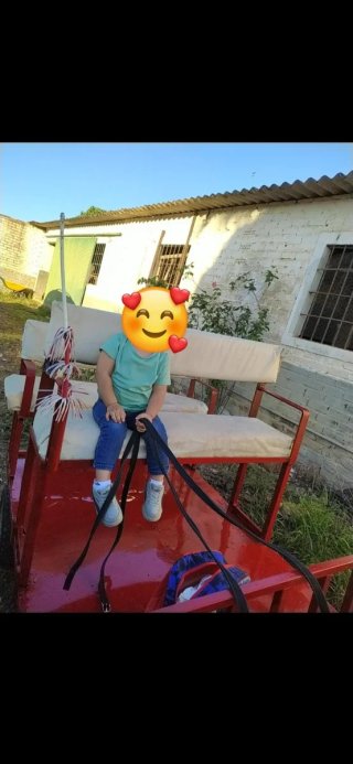 Carro Rojó para poni