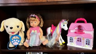 Lote Juguetes Perro, Muñeca, Unicornio y Casa