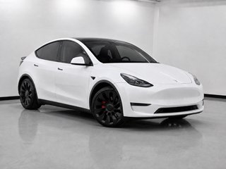 Tesla Model Y Perfomance 11.2022
