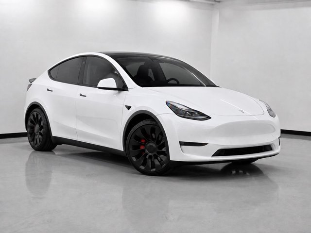 Tesla Model Y Perfomance 11.2022