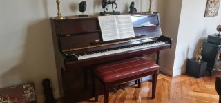 Piano vertical Hyundai U810