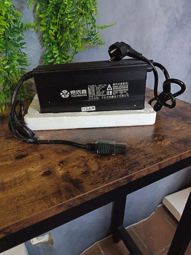 Caricabatterie per batterie LiFePO4 48V per auto elettrica
