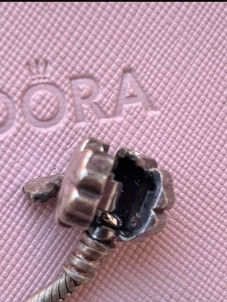 Pulsera Pandora Wildflower Meadow Clasp