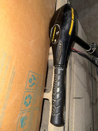Motor Eléctrico Minn Kota Endura C2 40 libras