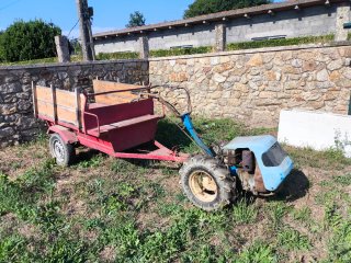 Motocultor BCS 735 con Remolque