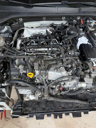 Motor Volkswagen 1.6 TDI DDY