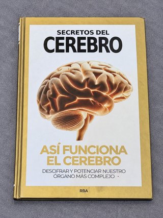 Así funciona el cerebro. Secretos del cerebro RBA