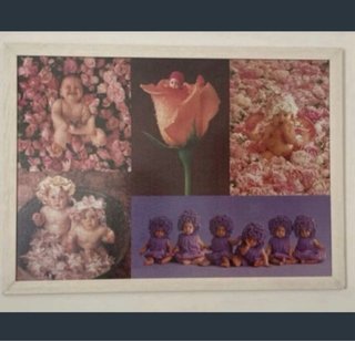 Puzzle cuadro Anne Geddes