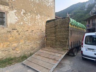 Camión Ganadero Nissan Cabstar