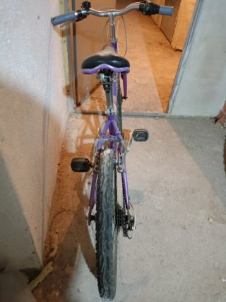 Bicicleta Morada