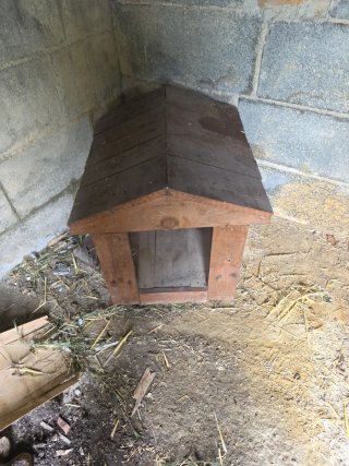 Casetta per cani in legno