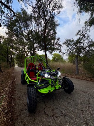 Buggy 250cc