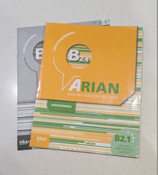 Arian B2.1 Lan koadernoa