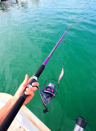 Equipo de Pesca, Spinning Pesado, Pesca Black Bass