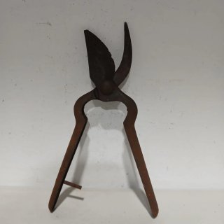Tijeras de hierro