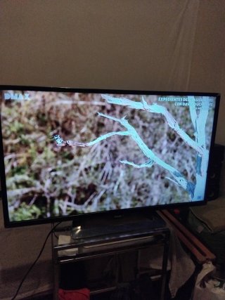 Televisor Philips 32 pulgadas no es smart