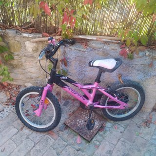Bicicleta Infantil Monty Rosa