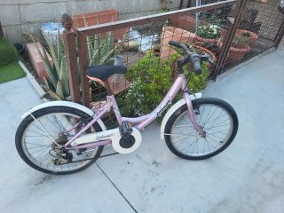 Bicicleta infantil Olanda morada