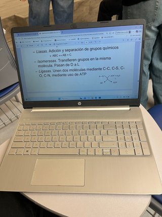 Ordenador HP Plata
