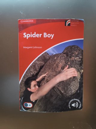 Spider boy