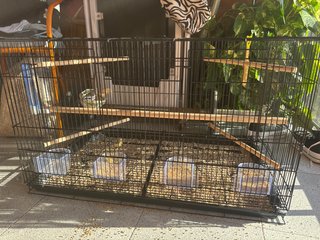Jaula para pájaros negra y transparente