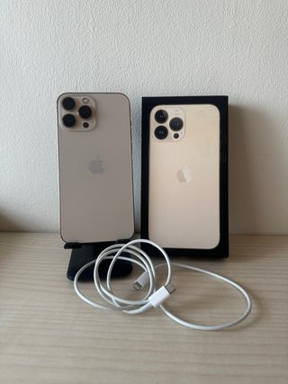 iPhone 13 Pro Max Oro