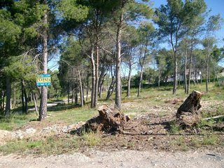 Terreno en venta en Cabra del Camp
