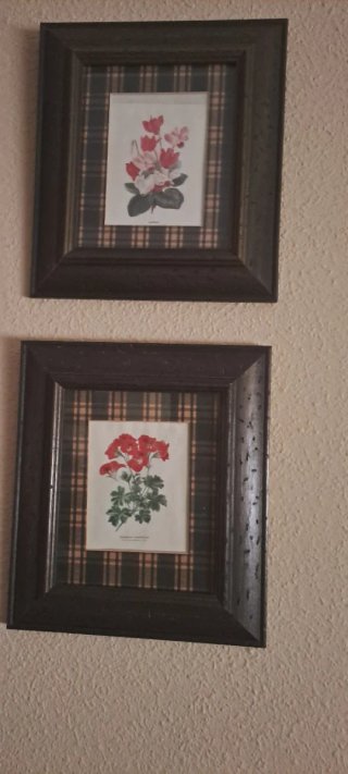 Lote 5 cuadros decorativos vintage