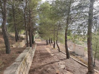 Terreno en venta en Almansa