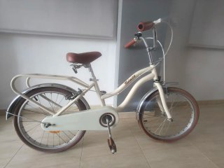 Bicicleta infantil Teimsa