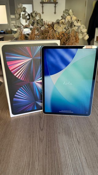 Apple iPad Pro 11 Argento M1 (3ªgen)