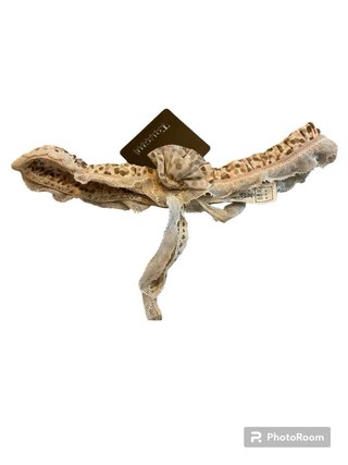 Liga de pierna Touche encaje leopardo beige rosa