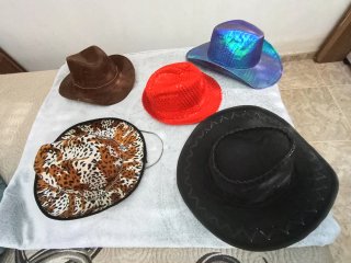Lote de 5 Sombreros Variados