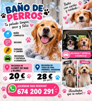 Bañar perros