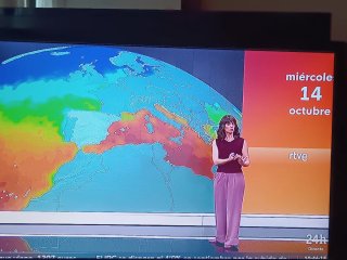 Televisor LG 22MN43D 22 pulgadas