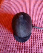 Casco de Equitación Talla 56