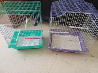 Jaula para pájaros verde y morada