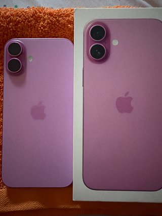 iPhone 16 Plus Rosa