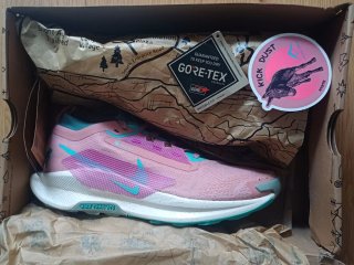 Zapatillas Trail Nike Trail Pegasus 5 Gore-Tex en