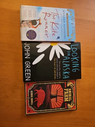 Lote de libros en ingles