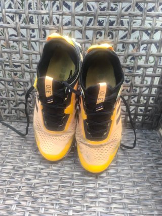 Adidas Terrex Agravic Flow Zapatillas
