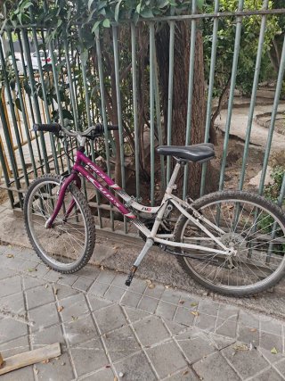 Bicicleta Infantil FMD 24