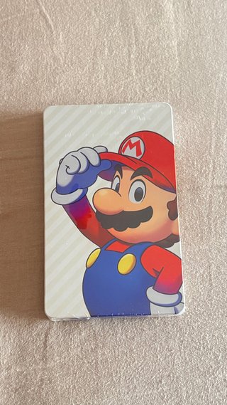 Steelbook Mario & Luigi: Conexión Fraternal