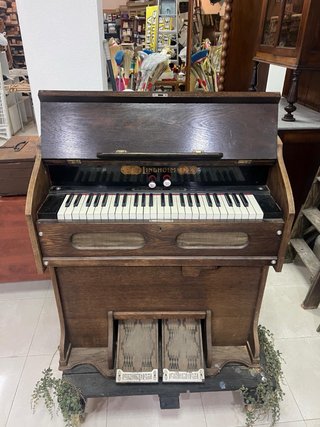 Órgano Lindholm madera y metal